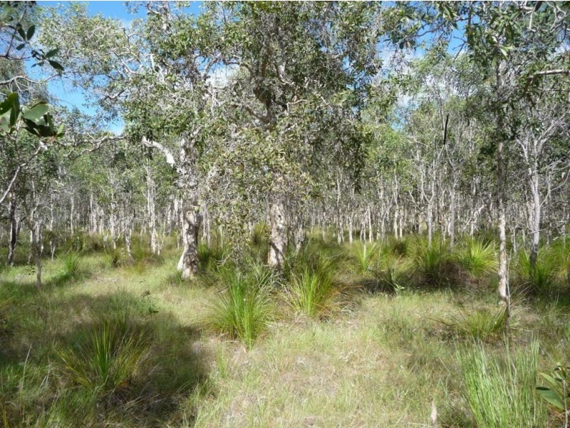Lot 239 Allingham Way, Agnes Water QLD 4677