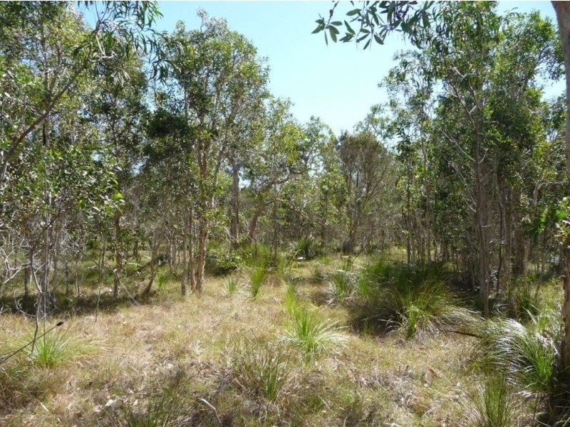 Lot 239 Allingham Way, Agnes Water QLD 4677