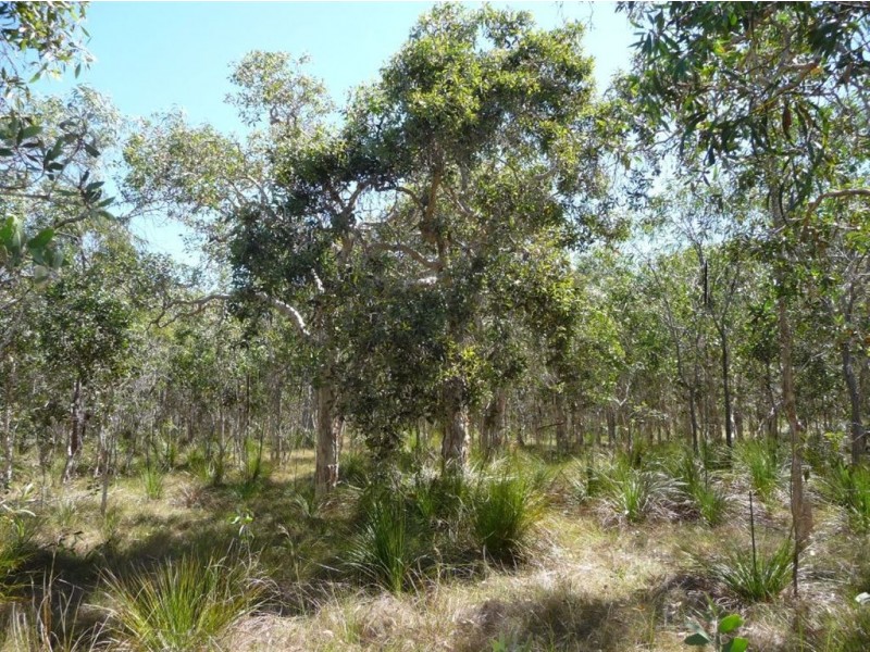 Lot 239 Allingham Way, Agnes Water QLD 4677