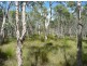 Lot 239 Allingham Way, Agnes Water QLD 4677