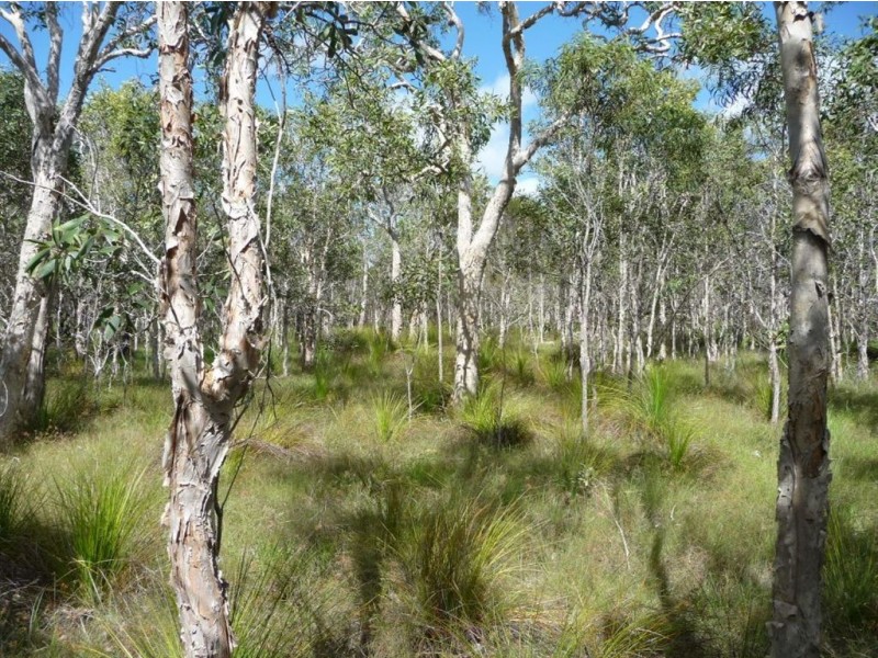 Lot 239 Allingham Way, Agnes Water QLD 4677