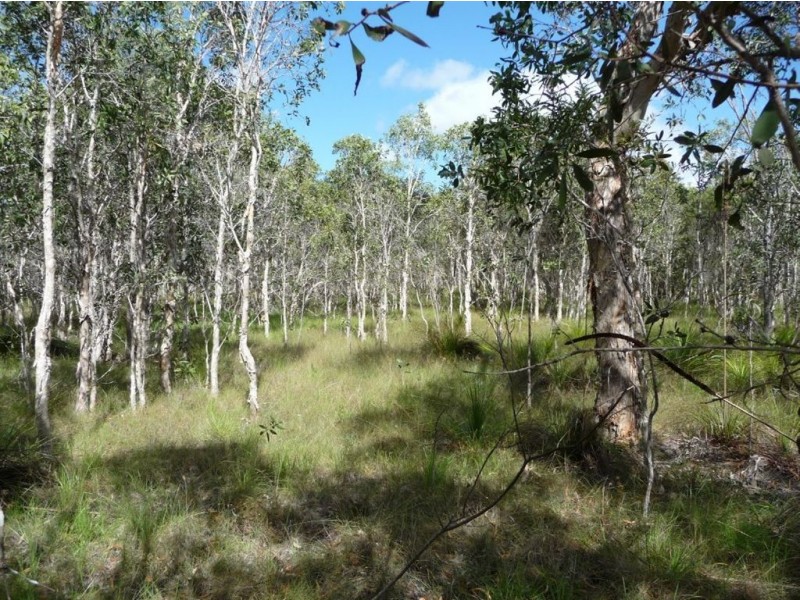 Lot 239 Allingham Way, Agnes Water QLD 4677
