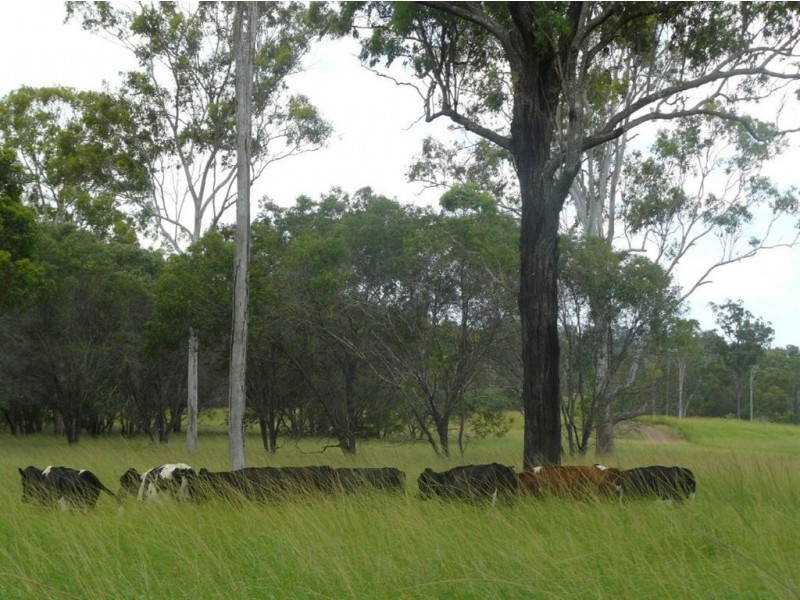 50 Tableland Road, Mount Tom QLD 4677