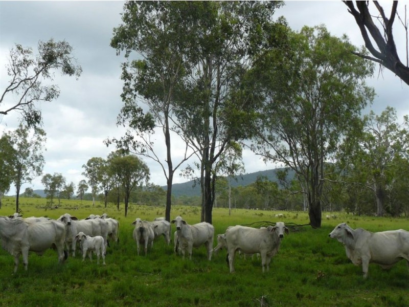 50 Tableland Road, Mount Tom QLD 4677