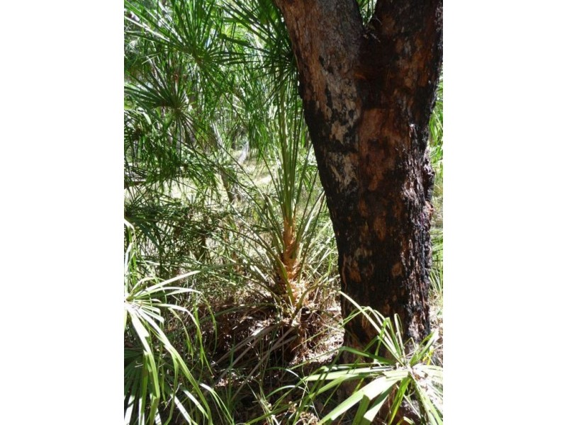 Lot 80 Springs Road, Agnes Water QLD 4677