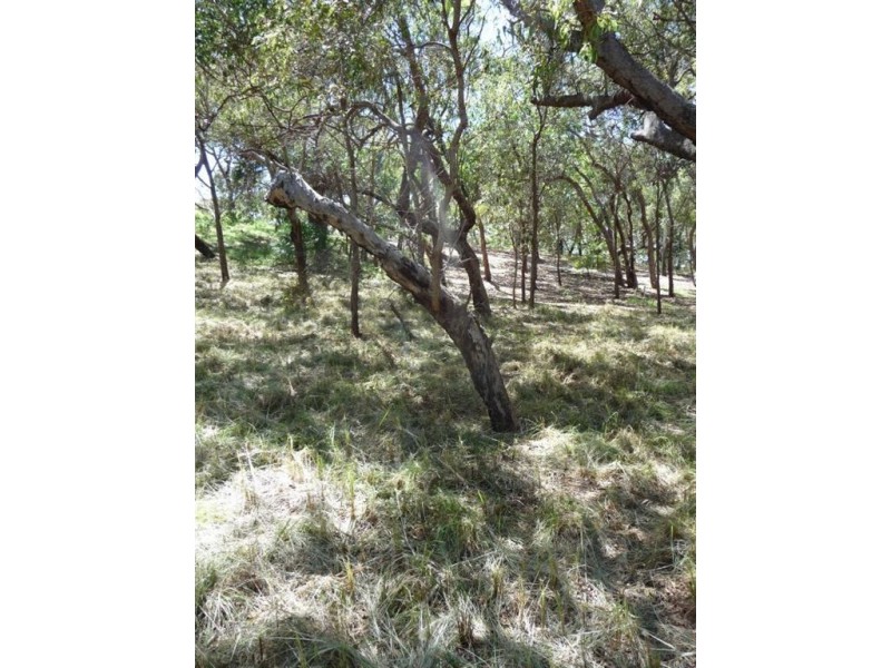Lot 80 Springs Road, Agnes Water QLD 4677