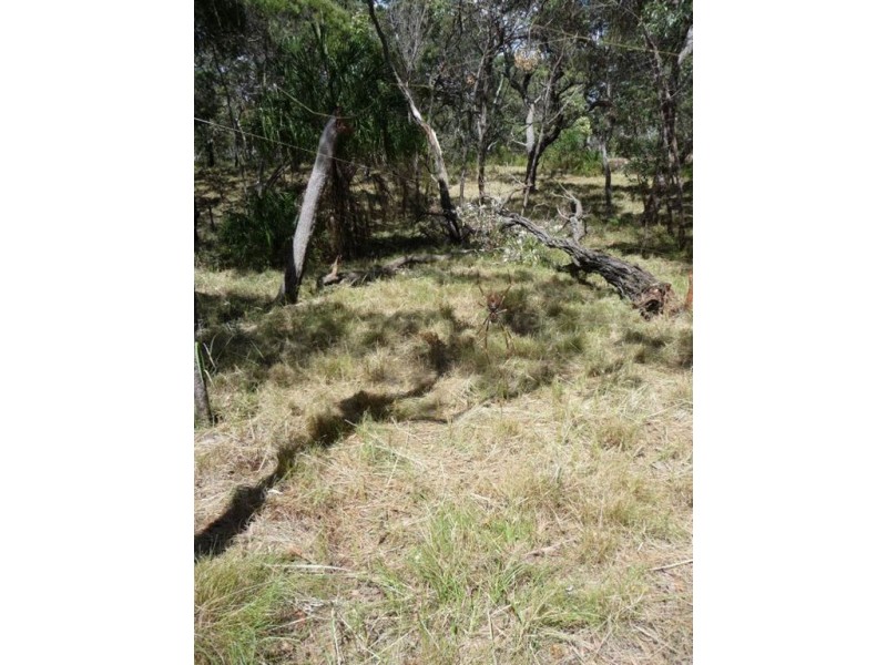 Lot 80 Springs Road, Agnes Water QLD 4677