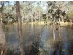 40 Watkins Road, Agnes Water QLD 4677
