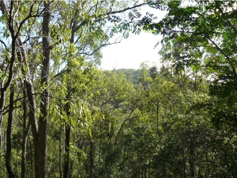 62 Creevey Drive, Captain Creek QLD 4677