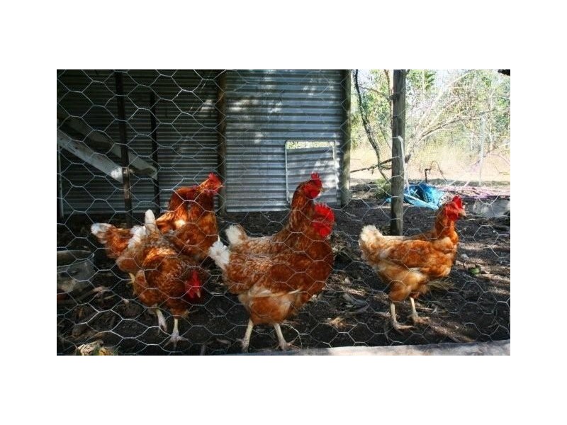 407 Anderson Way, Agnes Water QLD 4677