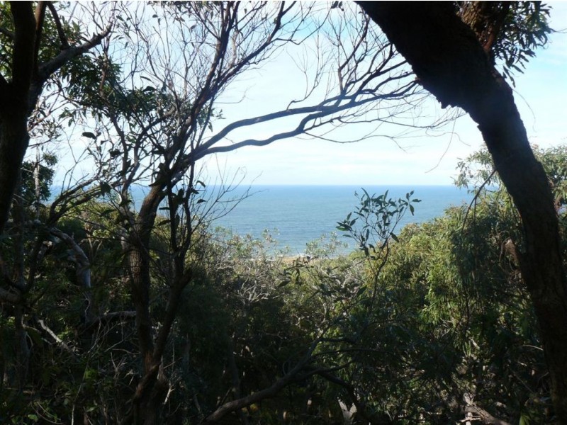 Lot 44 Springs Road, Agnes Water QLD 4677