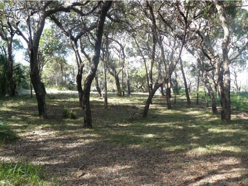 Lot 44 Springs Road, Agnes Water QLD 4677