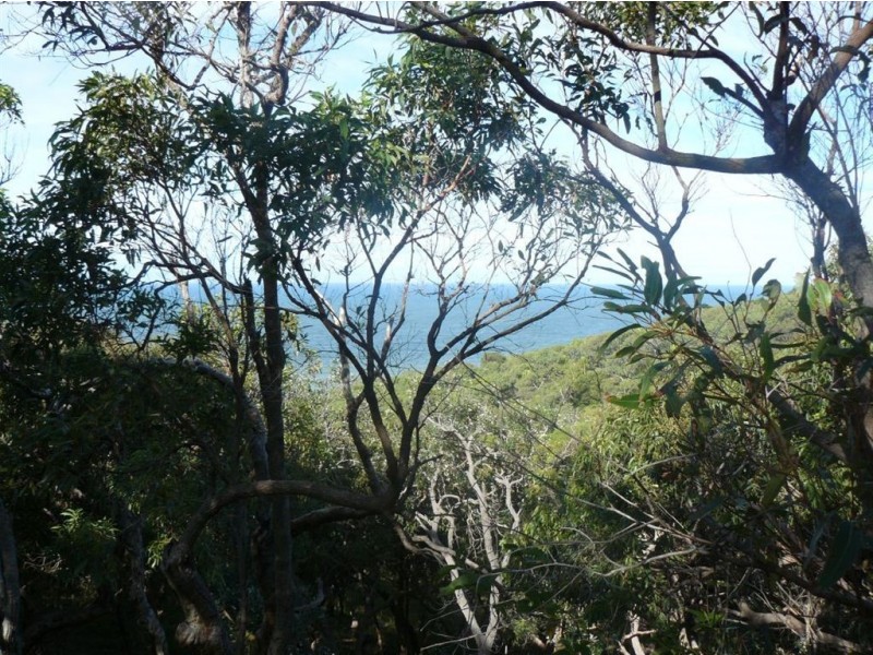Lot 44 Springs Road, Agnes Water QLD 4677