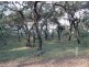 Lot 103 Springs Road, Agnes Water QLD 4677