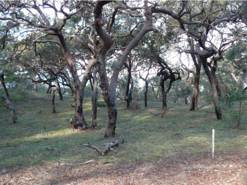 Lot 103 Springs Road, Agnes Water QLD 4677