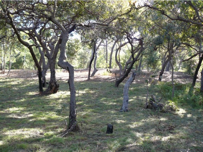 Lot 103 Springs Road, Agnes Water QLD 4677