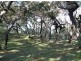 Lot 103 Springs Road, Agnes Water QLD 4677