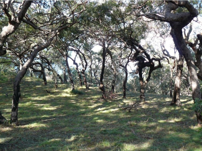 Lot 103 Springs Road, Agnes Water QLD 4677