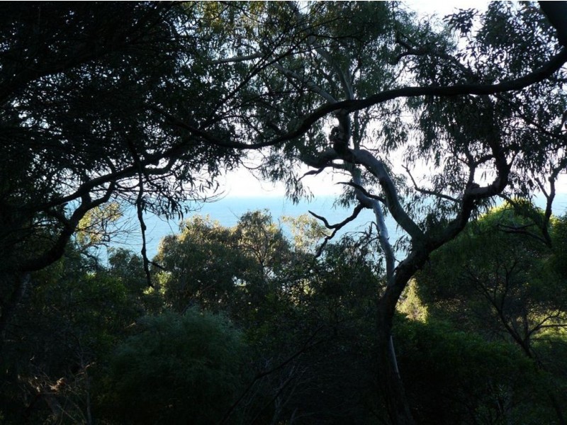 Lot 138 Springs Road, Agnes Water QLD 4677