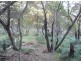Lot 138 Springs Road, Agnes Water QLD 4677