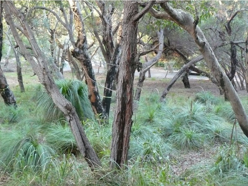 Lot 138 Springs Road, Agnes Water QLD 4677