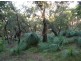 Lot 138 Springs Road, Agnes Water QLD 4677