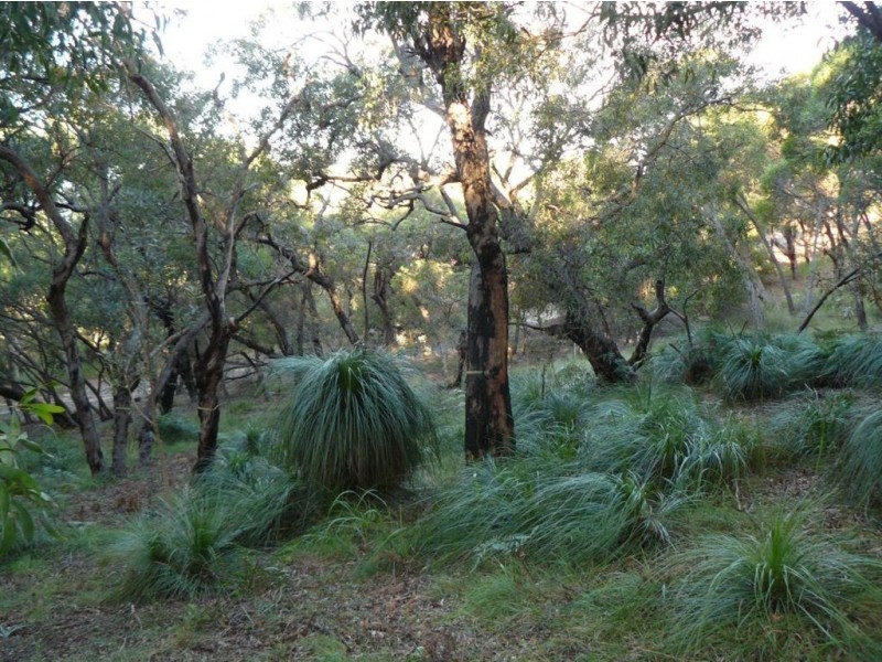 Lot 138 Springs Road, Agnes Water QLD 4677