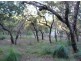 Lot 138 Springs Road, Agnes Water QLD 4677