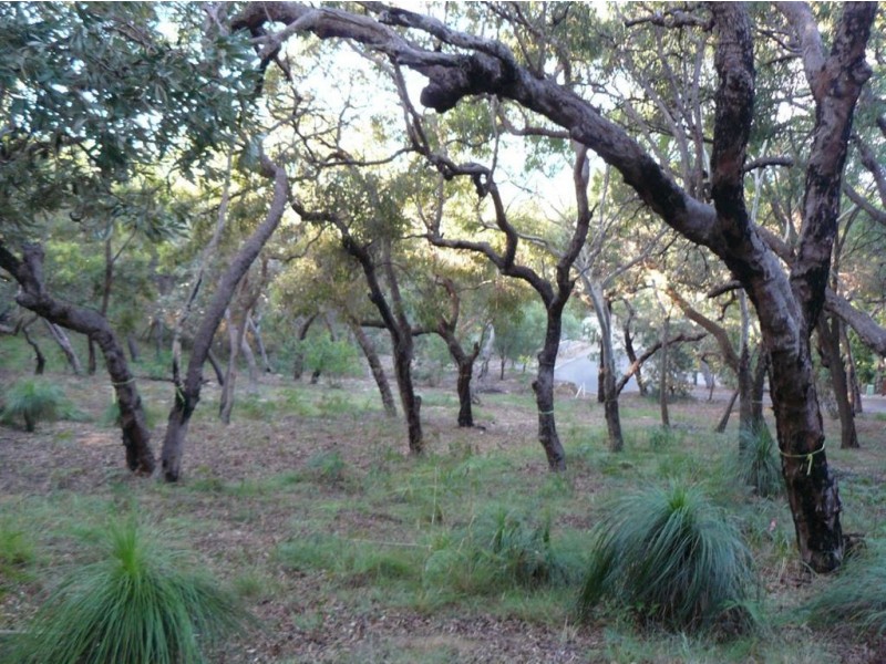 Lot 138 Springs Road, Agnes Water QLD 4677