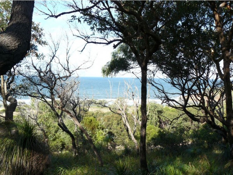 Lot 155 Springs Road, Agnes Water QLD 4677