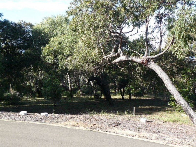 Lot 155 Springs Road, Agnes Water QLD 4677