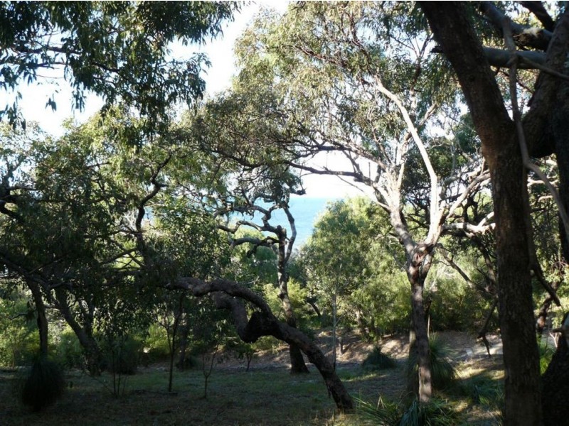 Lot 159 Springs Road, Agnes Water QLD 4677