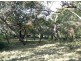 Lot 159 Springs Road, Agnes Water QLD 4677