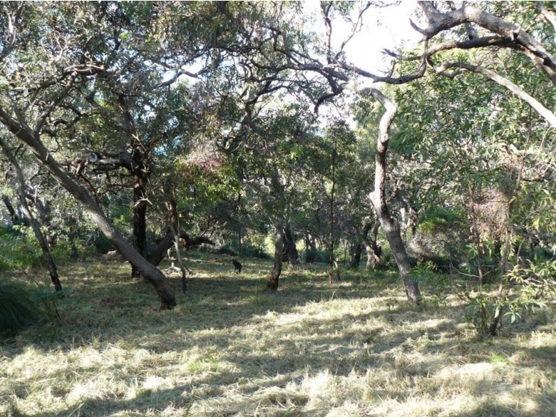 Lot 159 Springs Road, Agnes Water QLD 4677