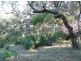 Lot 159 Springs Road, Agnes Water QLD 4677