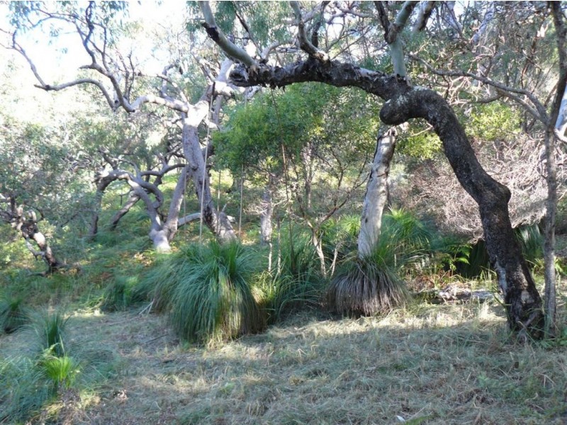 Lot 159 Springs Road, Agnes Water QLD 4677