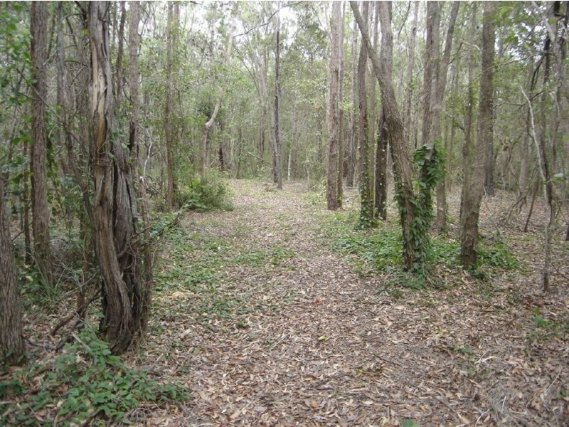 208 Clarke Road, Lowmead QLD 4676