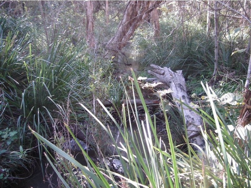 Lot 35 Mineral Road, Rosedale QLD 4674