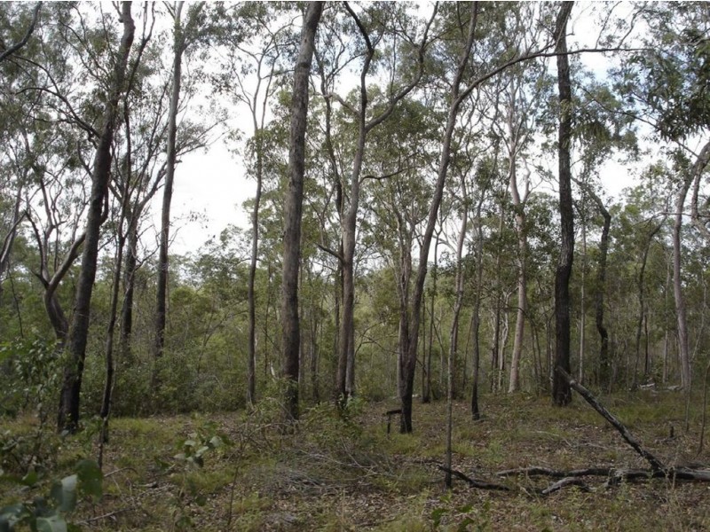 Lot 35 Mineral Road, Rosedale QLD 4674