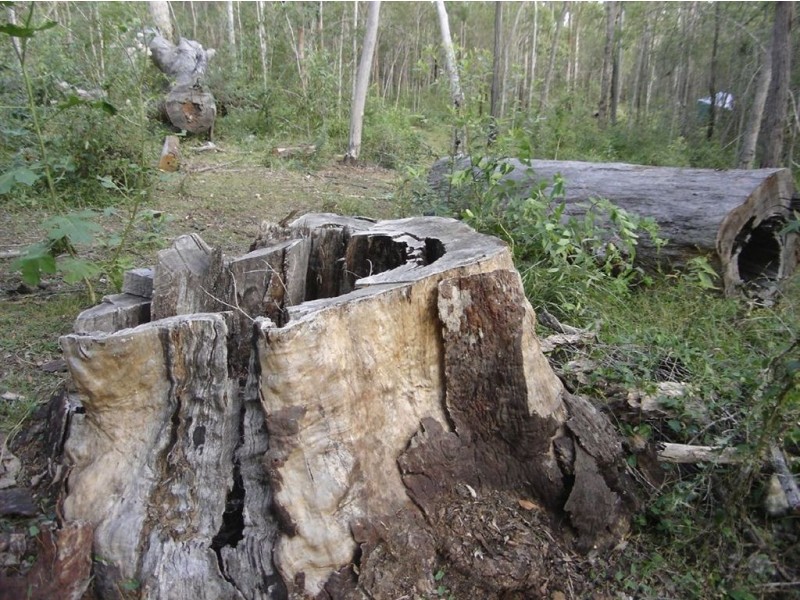 Lot 35 Mineral Road, Rosedale QLD 4674