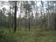 Lot 35 Mineral Road, Rosedale QLD 4674