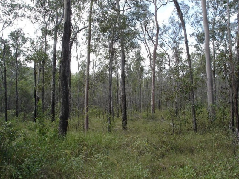 Lot 35 Mineral Road, Rosedale QLD 4674