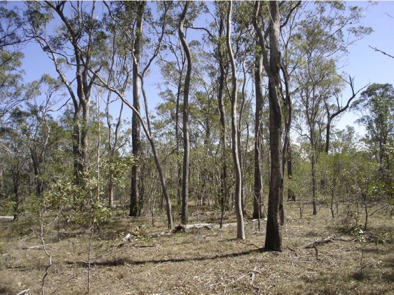 Lot 55 Coast Road, Baffle Creek QLD 4674