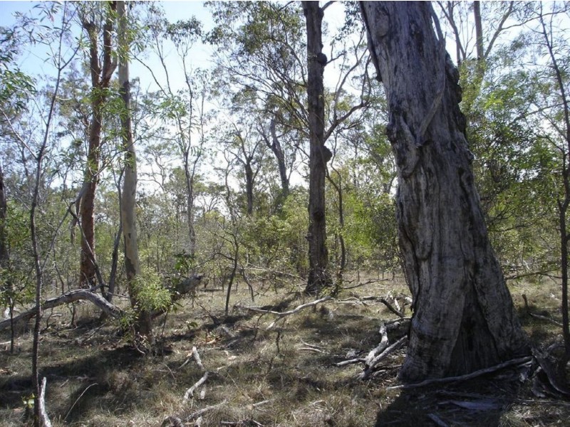 Lot 55 Coast Road, Baffle Creek QLD 4674