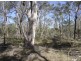 Lot 55 Coast Road, Baffle Creek QLD 4674