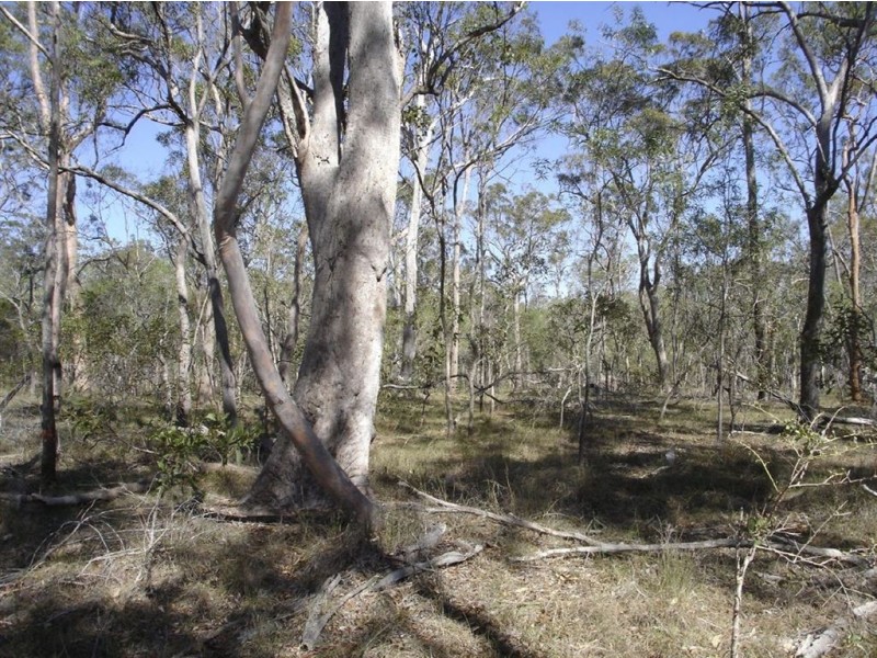Lot 55 Coast Road, Baffle Creek QLD 4674