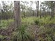 Lot 25 Tableland Road, Mount Maria QLD 4674