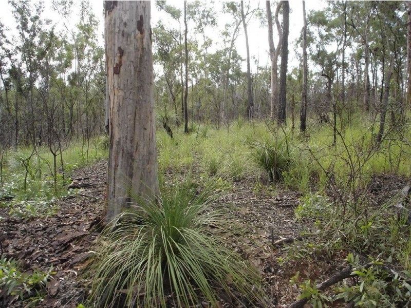 Lot 25 Tableland Road, Mount Maria QLD 4674
