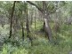 Lot 25 Tableland Road, Mount Maria QLD 4674