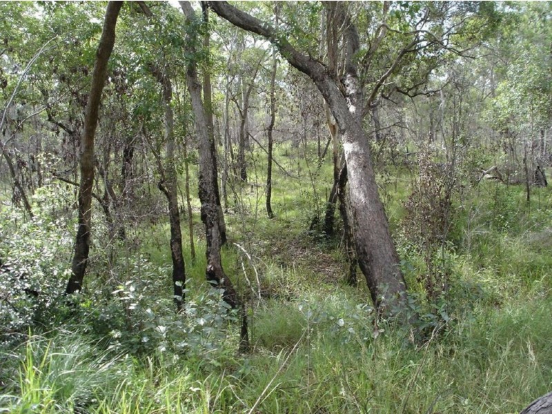 Lot 25 Tableland Road, Mount Maria QLD 4674